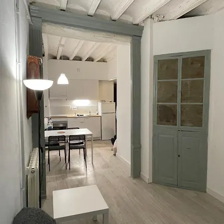 Apartment Cal Mestre- Olot