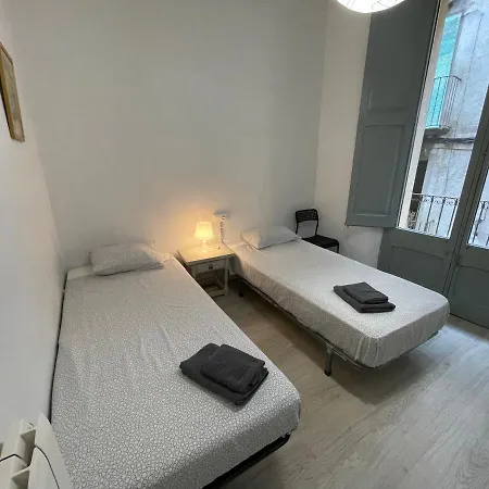 Cal Mestre- Apartment Olot