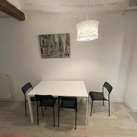 Apartamento Cal Mestre- Olot